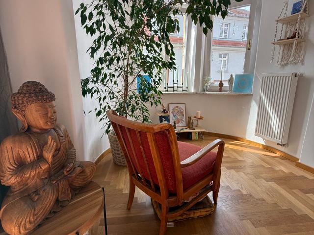 Light filled gem in a luxurious period building, Dresden Amsterdam Apartments for Rent