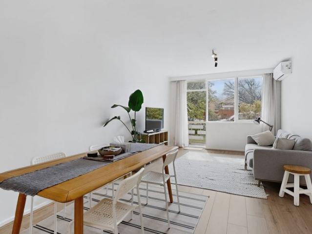 Light Filled Ground Floor Living in Peaceful Ripponlea