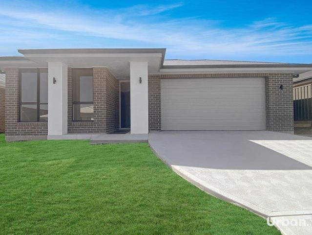 Light Filled Four Bedroom Home in Lochinvar