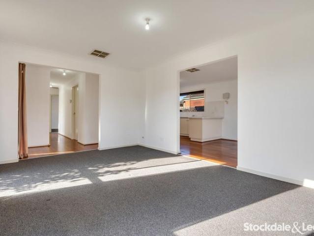 Light Filled Family Home!