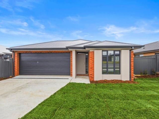 Light Filled Family Home Close to Parks and Playgrounds