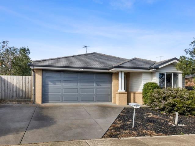 Light Filled Family Home in Convenient Location
