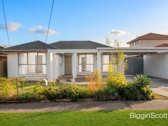 Light Filled Family Home with Entertainer's Deck in Prime Location