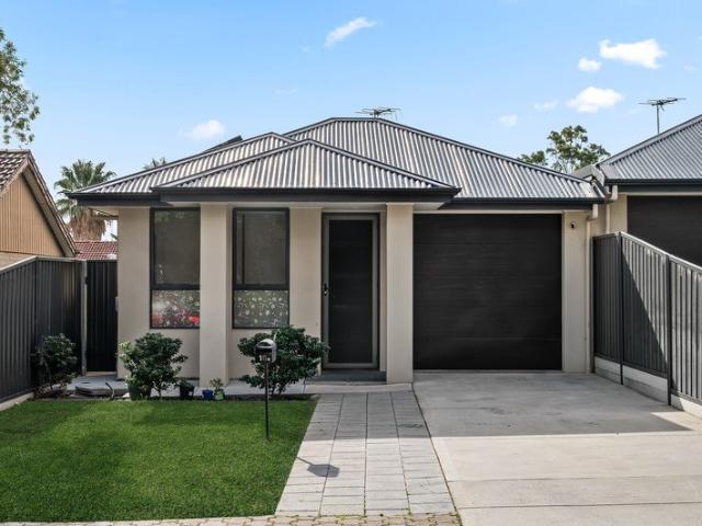 Light Filled Family Living with North Facing Appeal