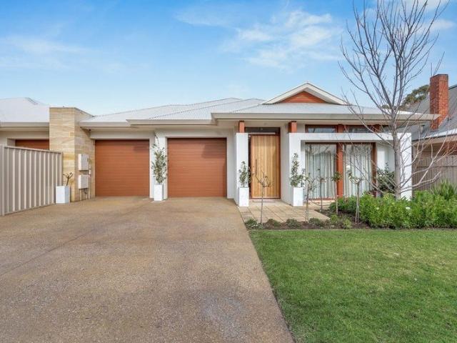 Light Filled Family Living with Alfresco Entertaining in Leafy Torrens Park