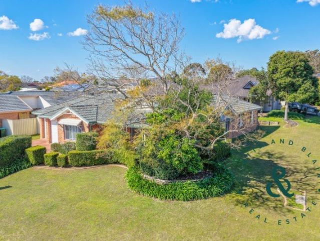 Light Filled Family Living in a Convenient Medowie Location