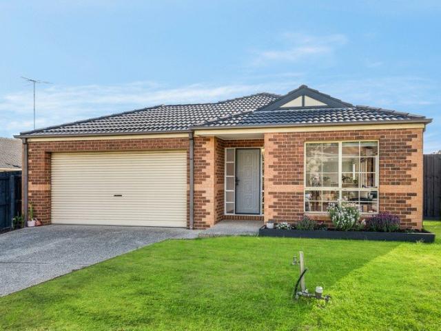 Light Filled Family Living in a Sought After Highton Location