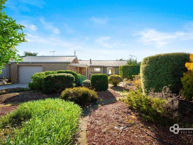 LIGHT FILLED HOME WITH POTENTIAL PLUS