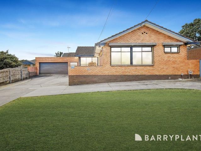 Light filled home on huge 1131sqm block with sparkling in ground pool