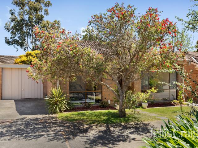 Light Filled Living in a Leafy Greensborough Pocket