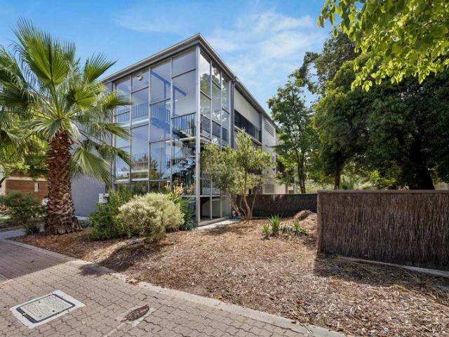 Light Filled Living in a Prime South Terrace Location!