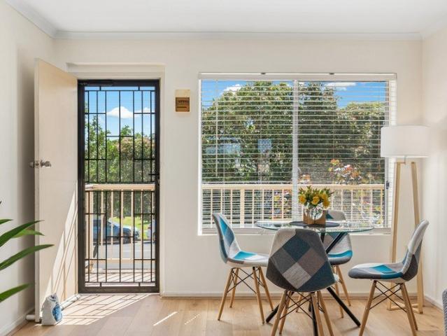 Light Filled Living in Adelaide's East