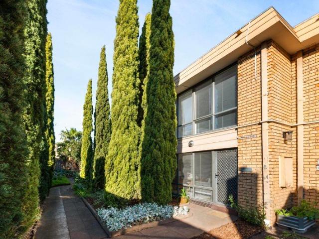 Light filled living: start your royal reign
