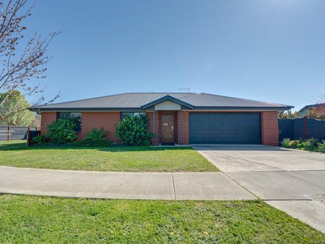 Light Filled Living, Steps from the Heart of Mansfield