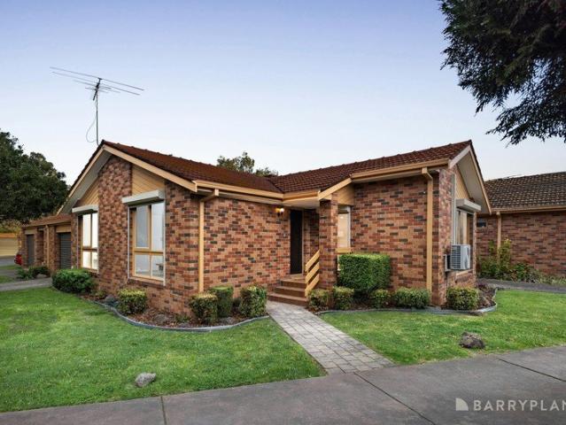 Light Filled Living with Effortless Lifestyle Appeal