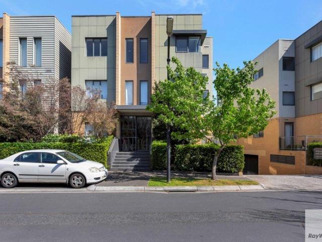 Light Filled Living with Leafy Views & Appliances Included