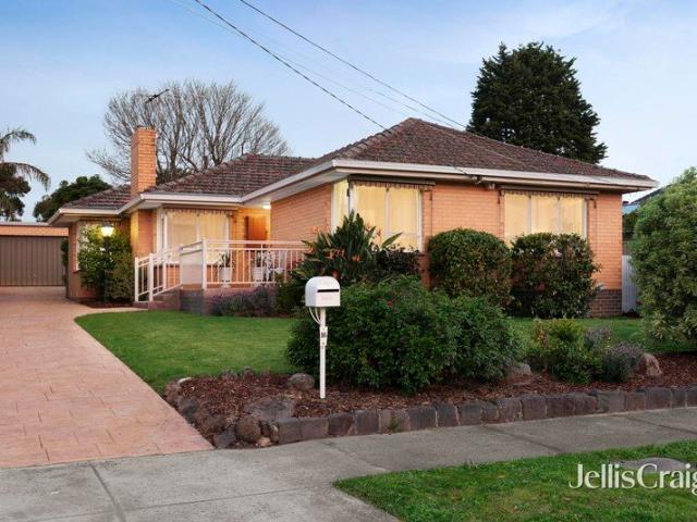 Light Filled Living with Space to Grow in Glen Waverley