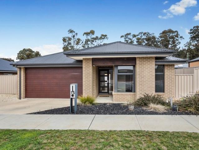 Light filled luxury with investment appeal, move in ready