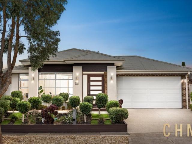Light Filled Modern Living in the Heart of Alamanda
