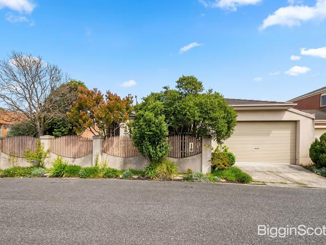 Light Filled North Facing Living in a Convenient Location