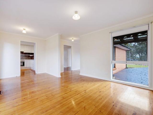 Light Filled Single Level Brick Home with Spacious Backyard