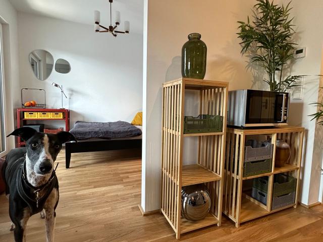 Light flooded new apartment near the river Main Frankfurt Griesheim, Frankfurt Amsterdam Apartments for Rent