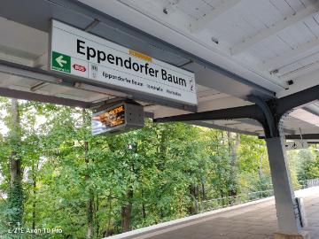 Curschmannstraße, Hamburg, Hoheluft Ost