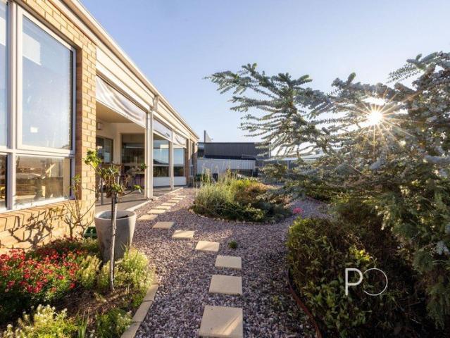 Light, Lifestyle & Coastal Living