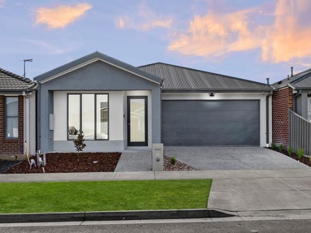 Light, Lifestyle & Contemporary Sophistication
