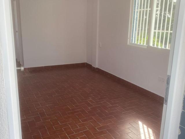 Light, Space and Freedom in the Heart of La Cañada