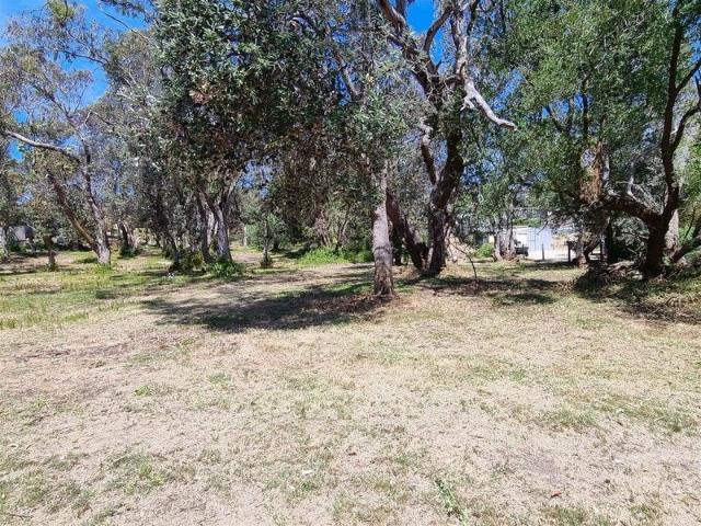 Lightly Treed 600 Square Meter Block Your Dream Coastal Oasis!