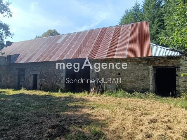 LIGNIERES ORGERES MAISON AVEC PARCELLE PIN DOUGLAS