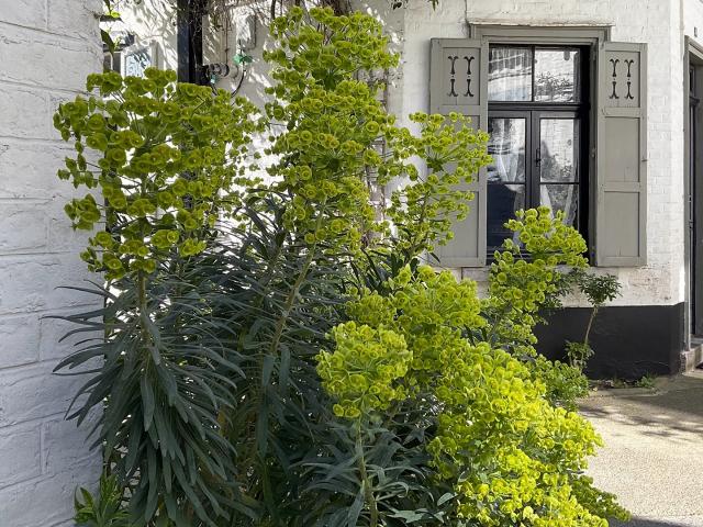 Lille VAUBAN CITADELLE maison à vendre 3 chambres 91m²