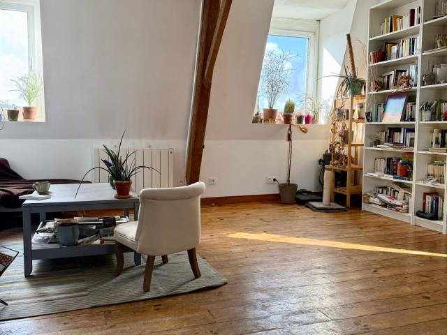 Lille Centre magnifique appartement cosy !