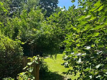 Lilly's Calm Souterrain Apartment with garden, Graz Amsterdam Apartments for Rent