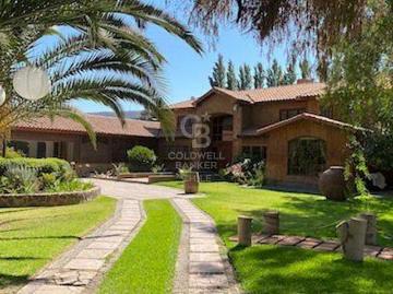 Comercio, Putaendo, Putaendo, Provincia de San Felipe de Aconcagua, Región de Valparaíso