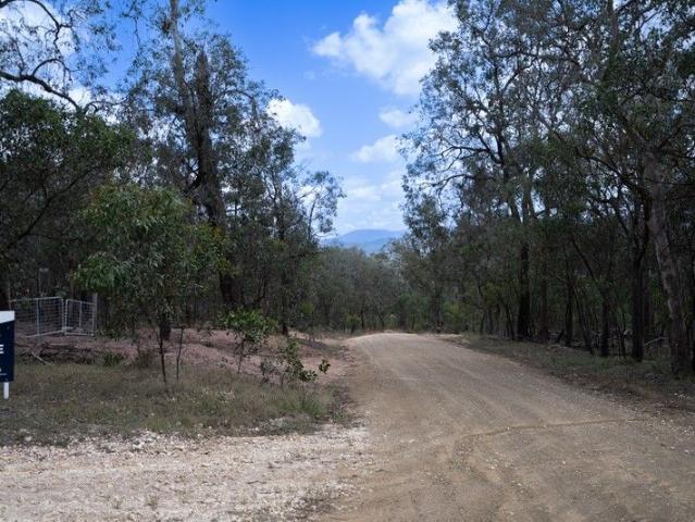 The beauty of natural bushland