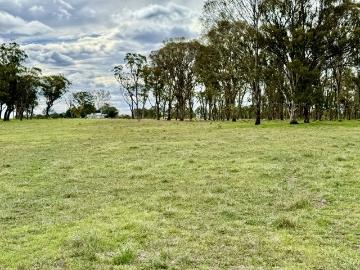 Liston Acreage in Prime Position
