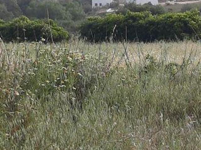 Lisboa Mafra 2640 96583172