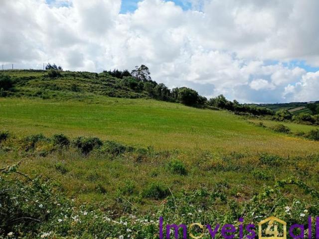 Lisboa Sintra 2705 105009131