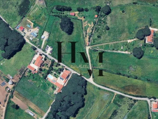 Lisboa Sintra 2705 105378466