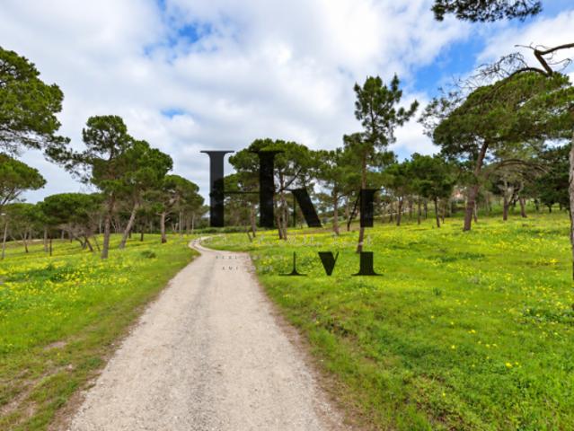Lisboa Sintra 2705 105378468