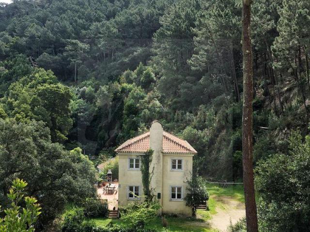 Lisboa Sintra 2705 105526390