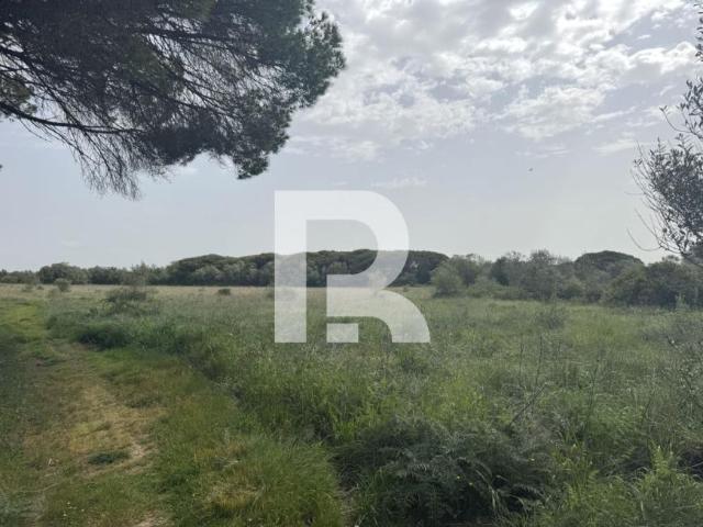 Lisboa Sintra 2705 102085773