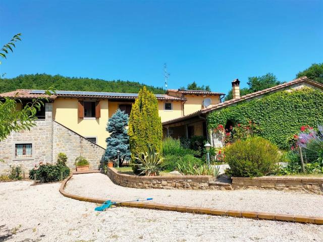 Lisciano Niccone. Casale con 3 appartamenti e ampio terreno. 440m² Lisciano Niccone