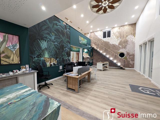L'Isle sur le Doubs Location Maison 25