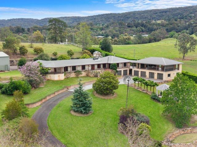 Little Kurrajong