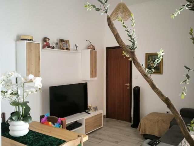 Litle Cozy apartment