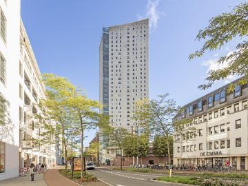 Olland, Meierijstad, Noord-Brabant