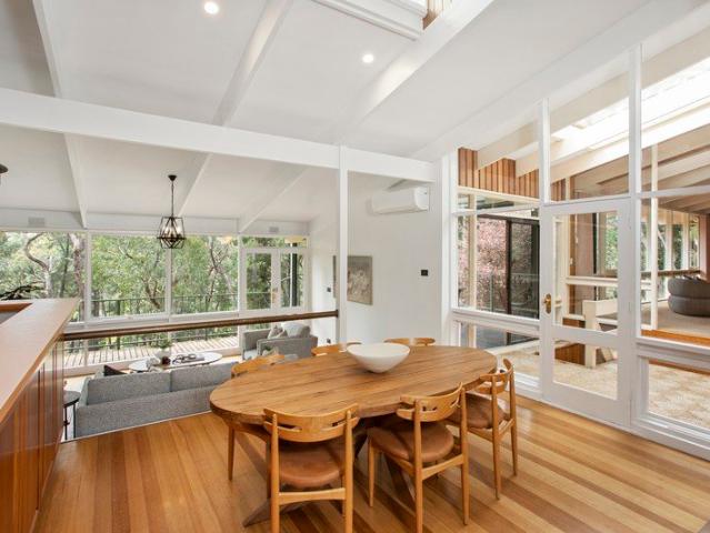 Live on another level  an architectural sanctuary amongst the treetops